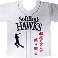 福岡ソフトバンクホークス刺繍